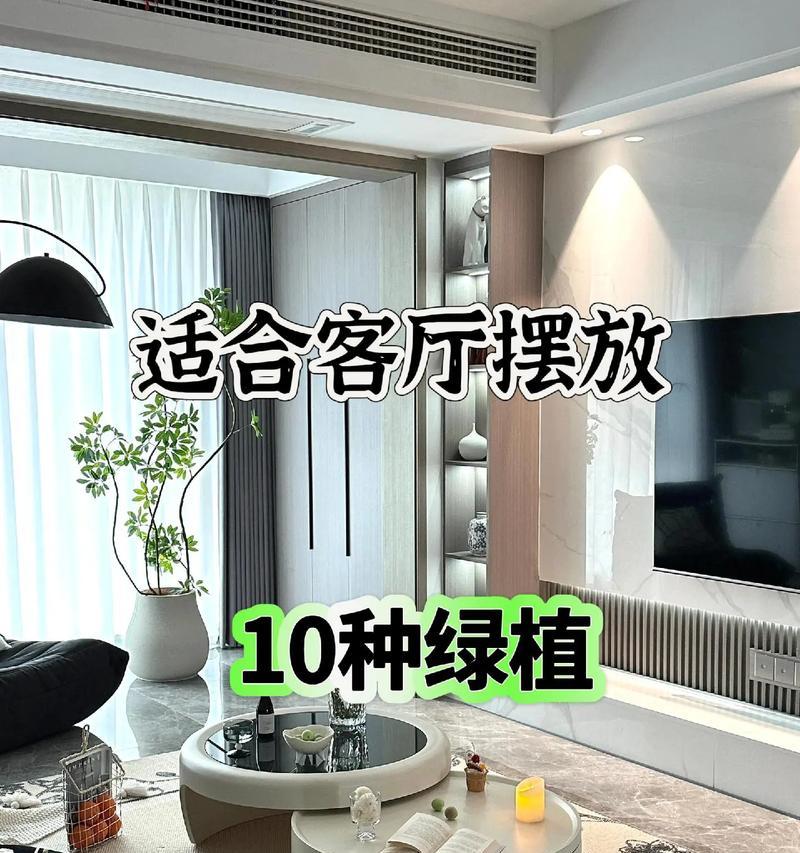 新房适合送哪些植物？它们各自有什么寓意？