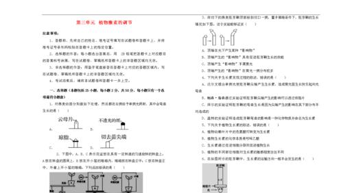植物激素如何正确导入？有哪些注意事项？