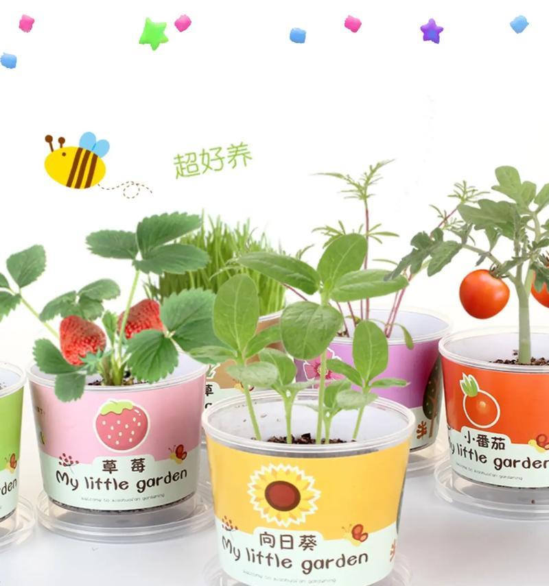 巧手种植盆栽怎么种植的？有哪些技巧和注意事项？
