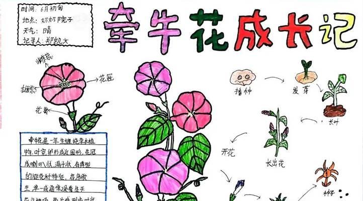 大自然里面都有哪些植物？如何识别它们？