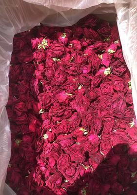 墨红色玫瑰花的含义是什么？