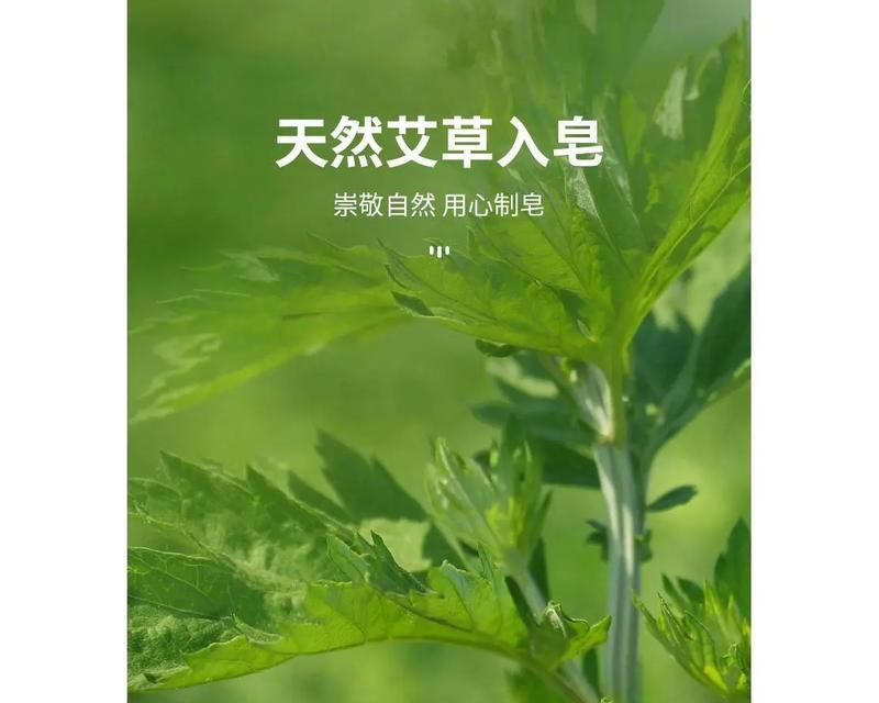 哪些植物具有良好的清洁效果？它们的使用方法是什么？