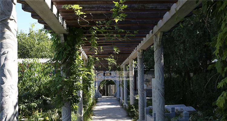 连廊适合种植哪些植物？道路连廊植物的选择标准是什么？