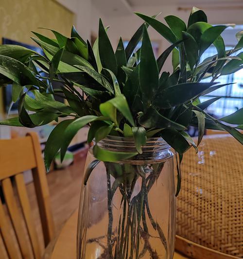 植物能否被称作物品？为什么植物不被归类为物品？