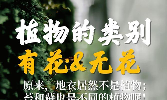 植物能否被称作物品？为什么植物不被归类为物品？