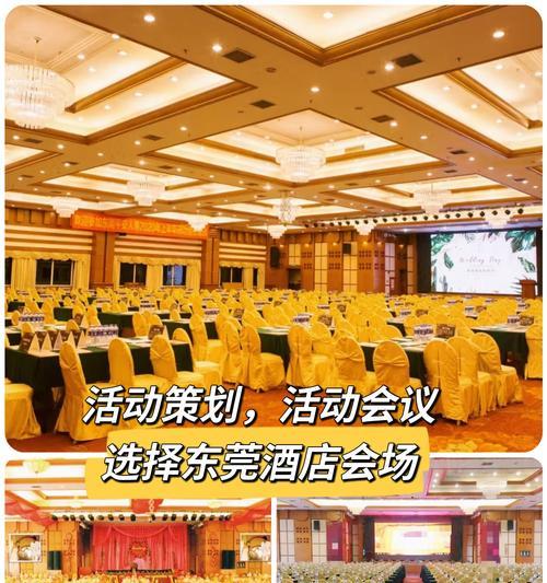 会议会场摆放花卉如何选择？