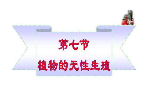 哪些植物采用无性生殖方式？