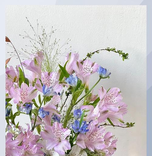 百合水仙的含义是什么？如何正确理解百合水仙？