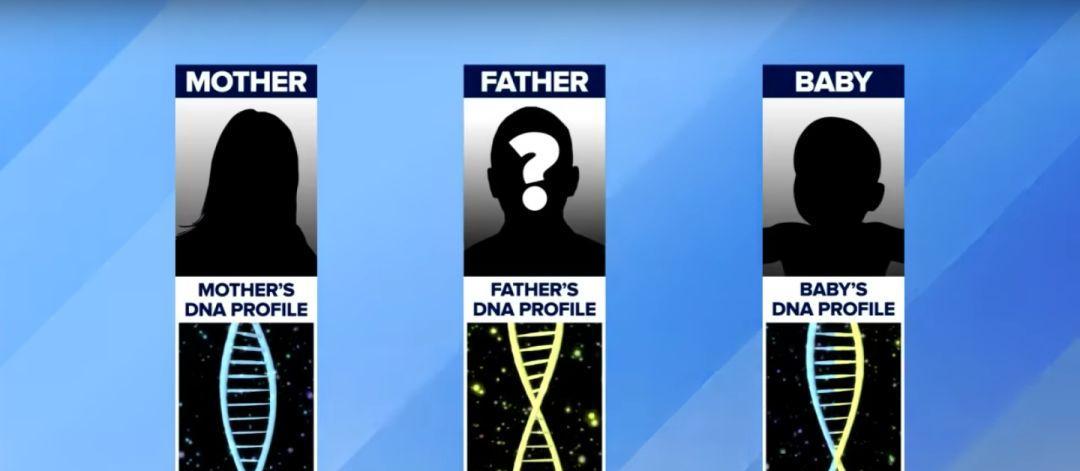 植物人存活时间受哪些因素影响？