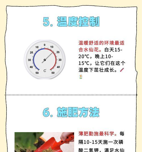 百合水仙的含义是什么？如何正确理解百合水仙？