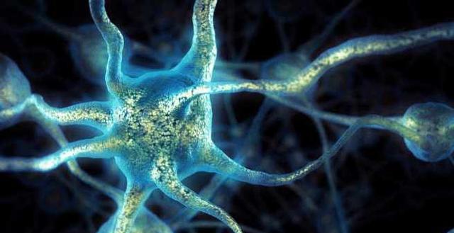 植物人存活时间受哪些因素影响？