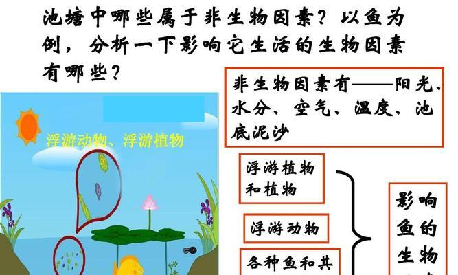 植物检疫是什么？它如何保护我们的生态系统？