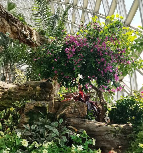 探索奇妙植物世界：世界上有哪些独特植物？