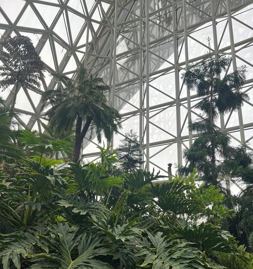 探索奇妙植物世界：世界上有哪些独特植物？