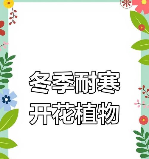 哪些植物能在寒冷环境中生长？