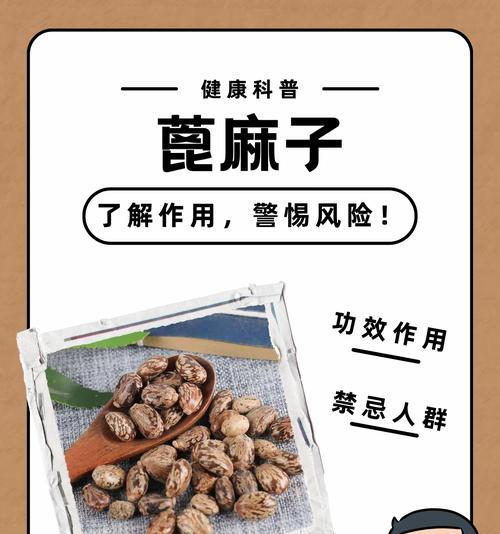 哪些是植物种子？它们的种植方法是什么？