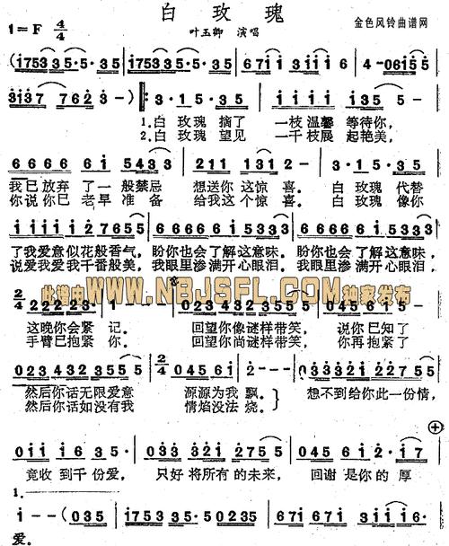 唱白玫瑰歌曲有何含义？白玫瑰在歌曲中象征什么？