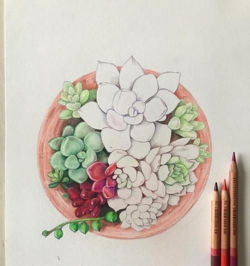 画人物植物背景的简单技巧是什么？如何快速掌握？