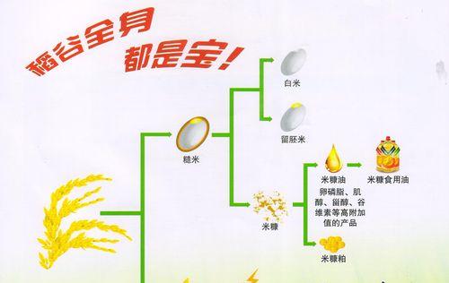 水稻秸秆的特征有哪些？这些特征对农业有何意义？
