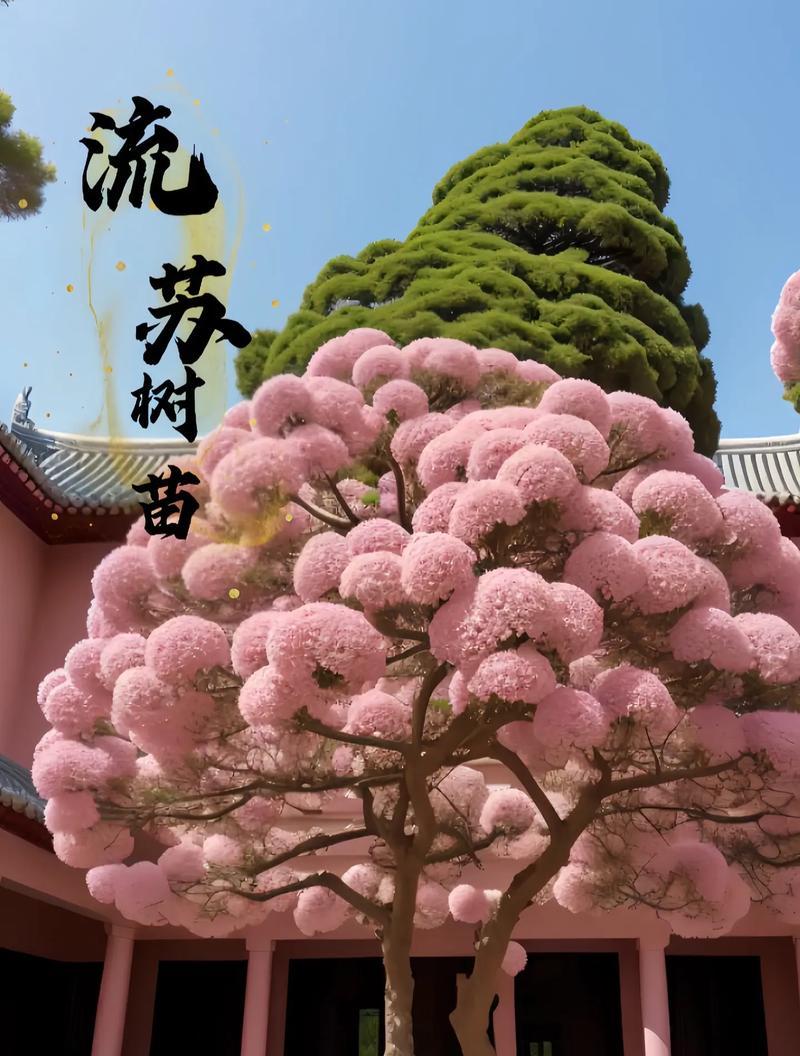 宝树开花的寓意是什么？开花的象征意义有哪些？