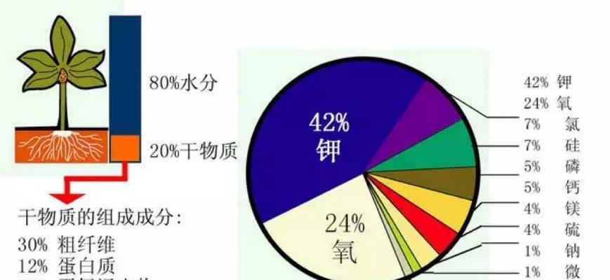 植物的植物体有哪些？它们的生长环境有何要求？