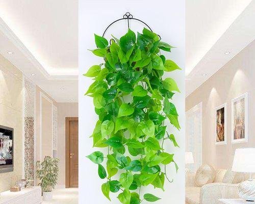 挂壁植物室内适合哪些植物？如何选择和养护挂壁植物？