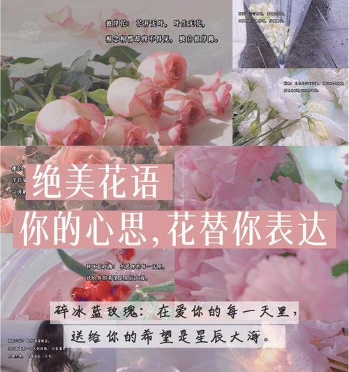 淡蓝玫瑰的花语是什么？它传递了怎样的情感信息？