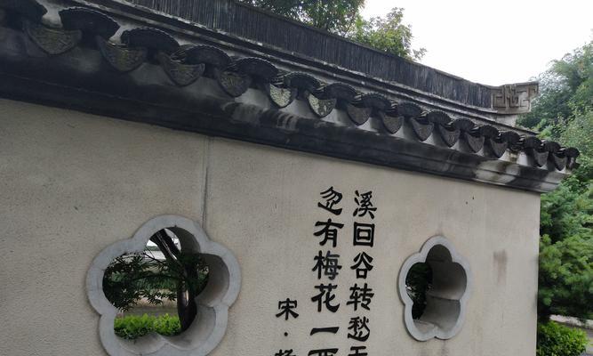 缩枝回枝花卉的特点是什么？