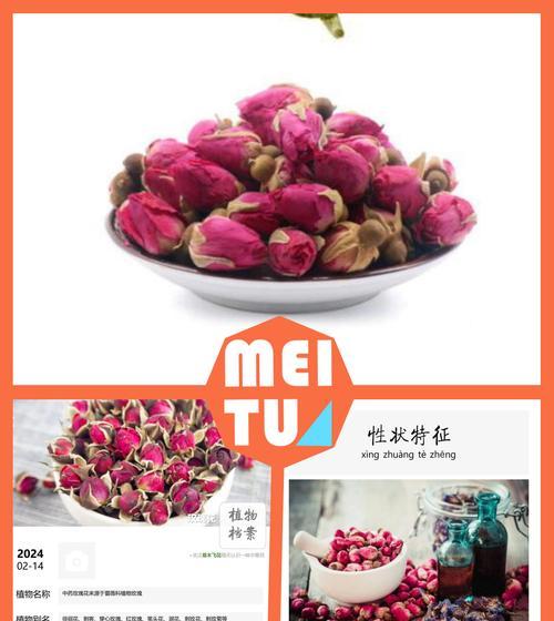 簪花玫瑰的寓意是什么？它传递了哪些信息？