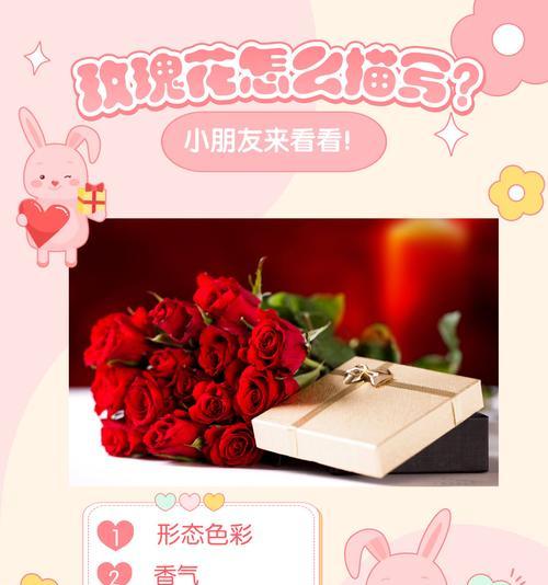 恋爱中送玫瑰花有何象征意义？这种传统是如何形成的？