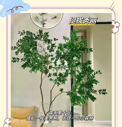 美式风格家居适合摆放哪些植物？如何选择？