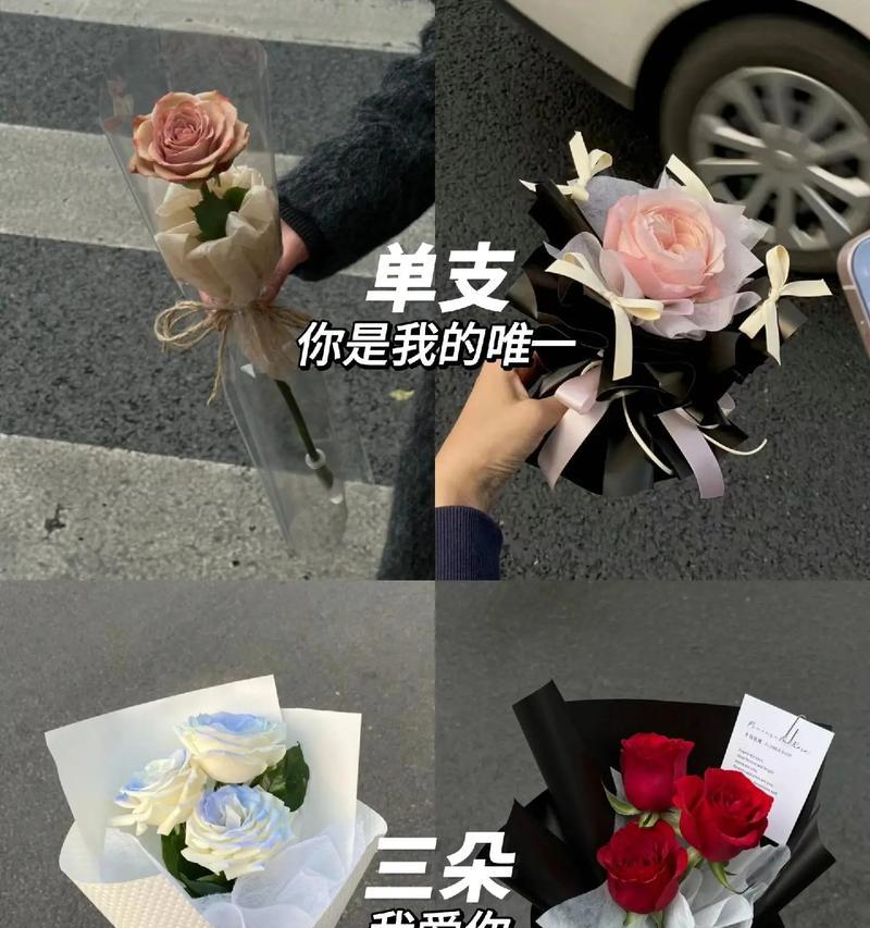 玫瑰花在女孩子眼中代表什么？为什么会有这样的含义？