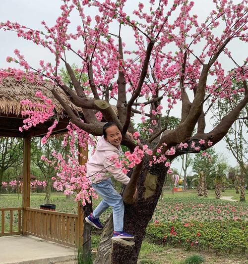 御景园的花卉市场有哪些？它们的特色是什么？