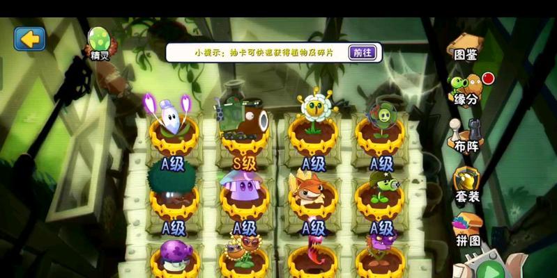 在《植物大战僵尸》的未来世界中，应该种植哪种植物？