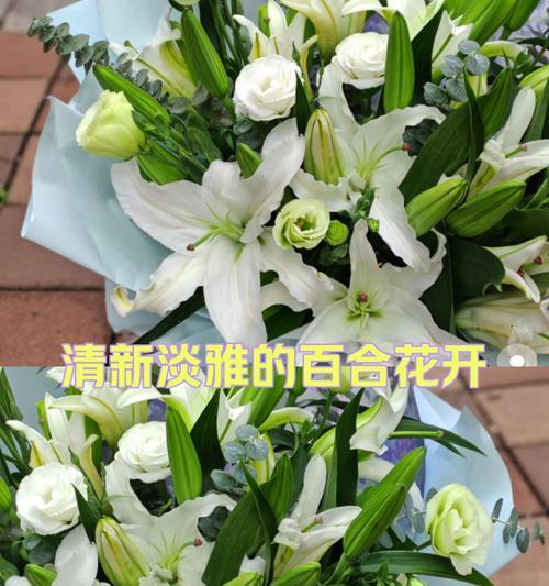 11朵百合花语的含义是什么？11朵百合代表了什么？