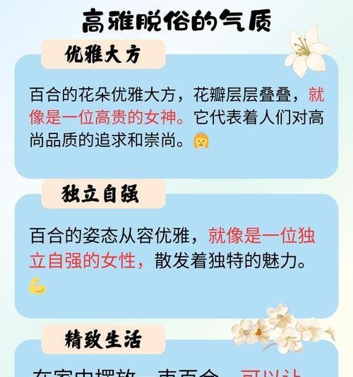 11朵百合花语的含义是什么？11朵百合代表了什么？
