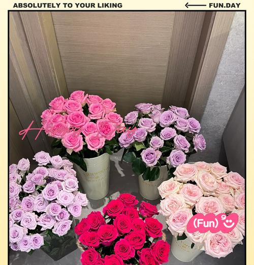 玫瑰花水培生根的方法是什么？