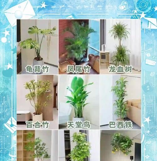村下适合种植哪些花卉植物？花卉植物的选择有哪些技巧？
