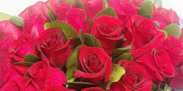 15朵玫瑰花的意义是什么？送15朵玫瑰花代表什么？