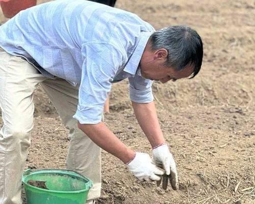 撒种水稻需要满足哪些种植条件？