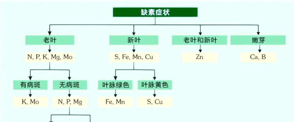 哪些植物可以通过营养繁殖？具体方法是什么？