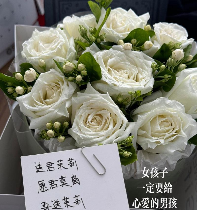 茉莉白玫瑰的花语是什么？