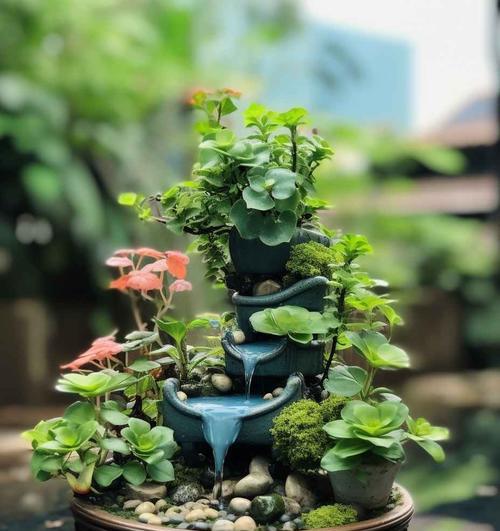 如何选择适合的盆栽爬藤植物？它们的养护要点是什么？