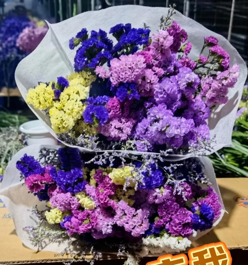 勿忘我花语代表什么含义？