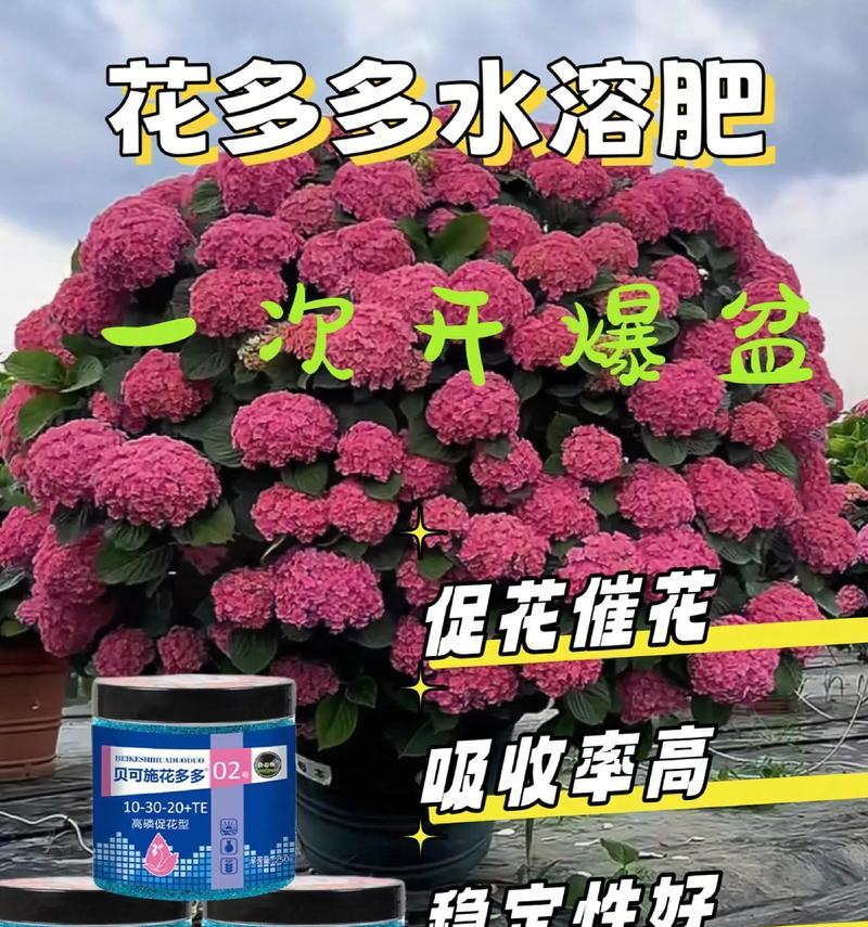 对花卉使用肥料有哪些？不同花卉需要哪些特定肥料？