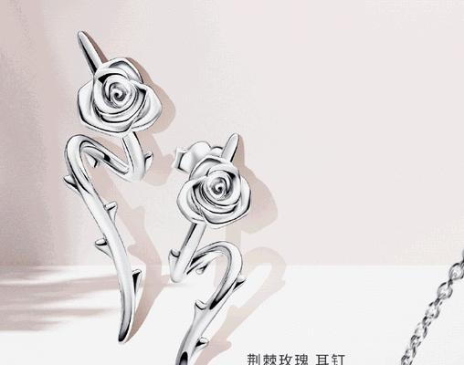 大的符号玫瑰花是什么意思？大符号玫瑰花的含义是什么？