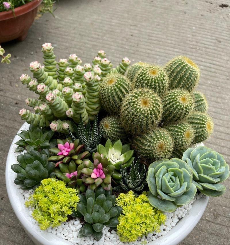 植物养殖相关的专业有哪些？