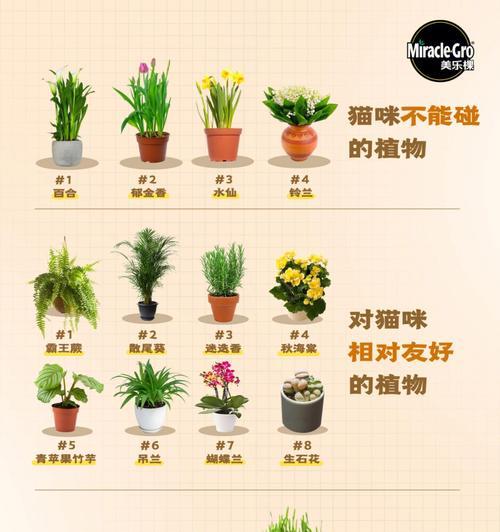 植物养殖相关的专业有哪些？