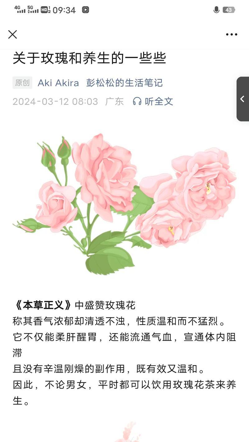 女性追求男性时送玫瑰花代表什么？这背后有何深意？