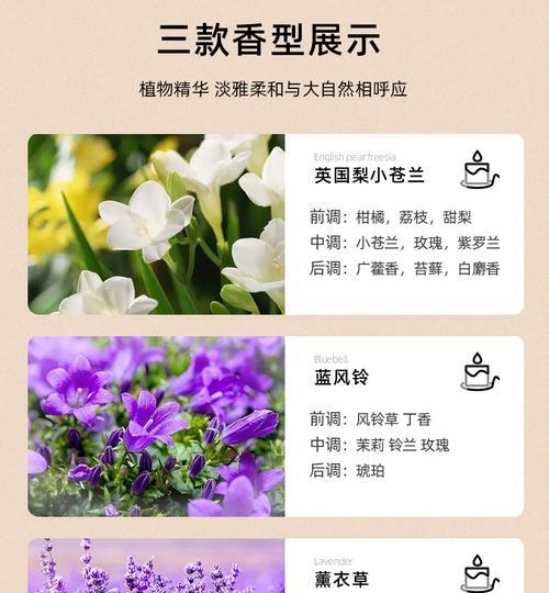 房间植物蜡烛的正确使用方法是什么？使用时应注意什么？